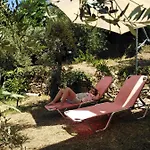 Holiday home ελαιώνας - Solar Energy House