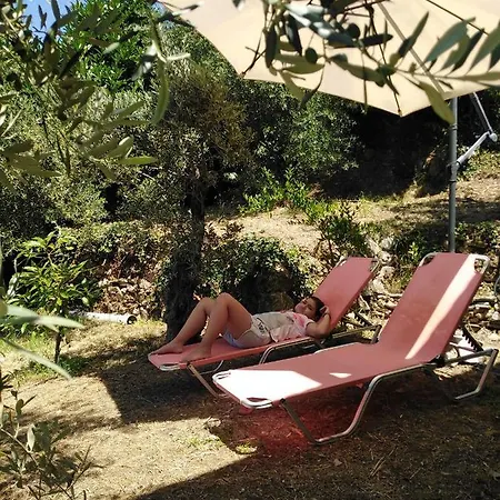 Сasa de vacaciones ελαιώνας - Solar Energy House