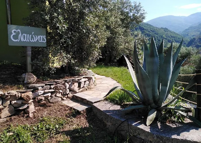 Holiday home ελαιώνας - Solar Energy House *